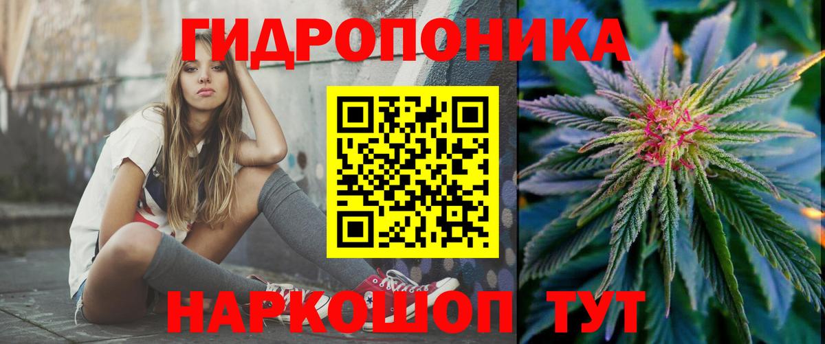 Конопля тримм  Вход с VPN  МАРИХУАНА тримм  Советск  Каннабис сатива 